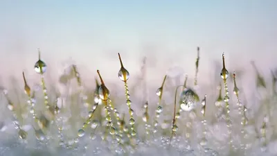 Көктайғақ, ауа райы болжамы, 2 қазан, дауылды ескерту, сурет - Zakon.kz жаңалық 01.10.2025 22:42