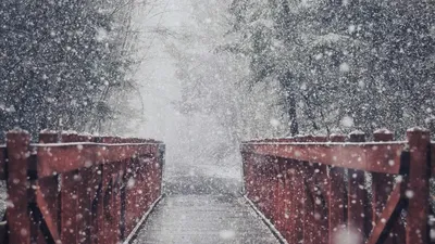 Қазақстанның тағы бір қаласына қар жауды, сурет - Zakon.kz жаңалық 03.10.2025 10:32