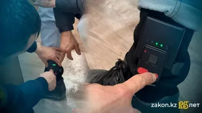 Шығыс Қазақстан облысында 2 жыл 7 айға шартты түрде сотталған және өмір бойына жүргізуші куәлігінен айырылған ер адам отбасылық жанжалдан кейін қашып кеткен, сурет - Zakon.kz жаңалық 03.10.2025 15:07