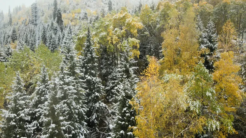 4 қазанда елдің бес облысында -3°С-қа дейін үсік болады