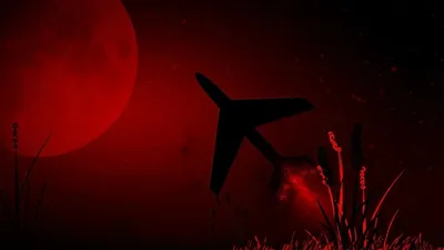 Трамптың атысты тоқтату жоспарына қарамастан, Газадағы тұрғындар соққылардың жалғасып жатқанын хабарлады, сурет - Zakon.kz жаңалық 04.10.2025 17:45