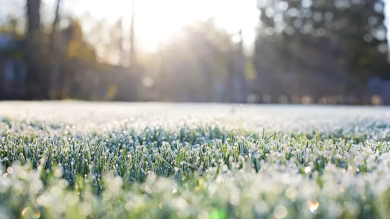 Қазақстанның бірнеше өңірінде екпінді жел, шаңды дауыл және үсік күтіледі