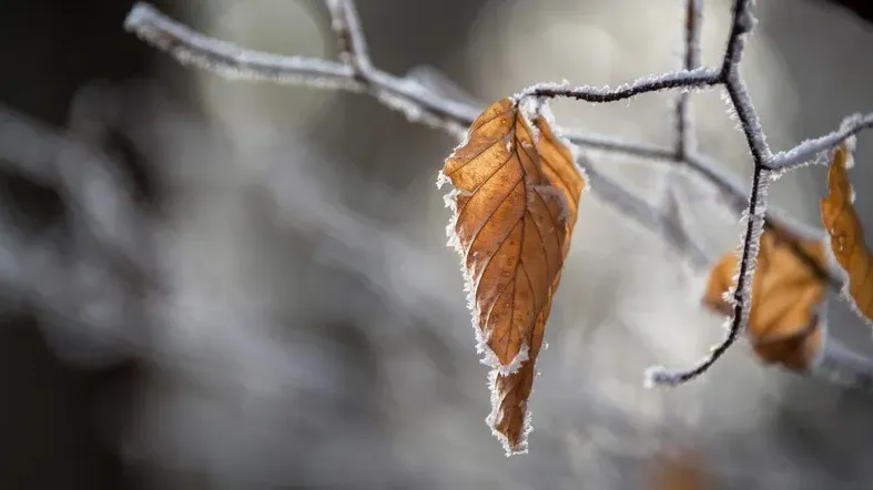 Андрей Крутоголов порно