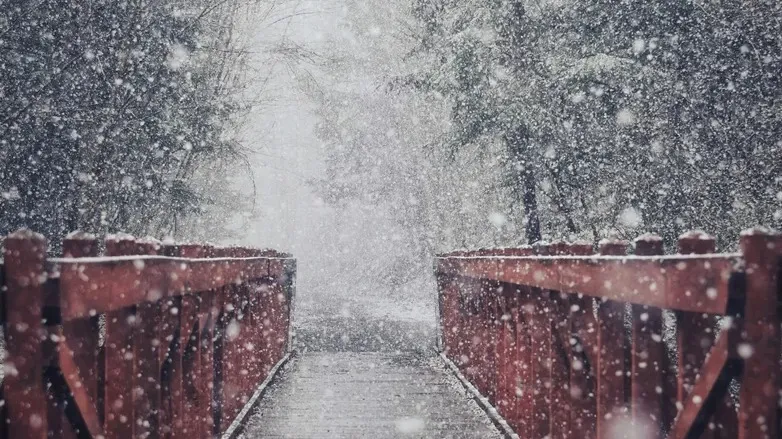 Псковта түсірілген порно видеоны қараңыз