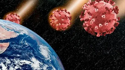 Ғарыштағы бактериялар, Жер, бактерия , сурет - Zakon.kz жаңалық 07.10.2025 13:51