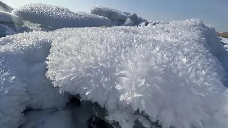 Жағажайдағы куннилингусты қараңыз