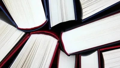 Кітап, Кенесары хан, Натай Кенесарин, Өзбекстан, Мұрат Кенесарин, сурет - Zakon.kz жаңалық 07.10.2025 18:56