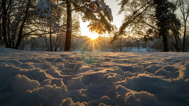 Қазақстанның кейбір өңірінде қар, -6°С-қа дейін үсік және жаңбыр күтіледі, сурет - Zakon.kz жаңалық 08.10.2025 18:10