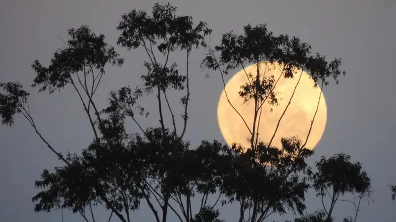 Астана аспанында Ай толды: тұрғындар таңғажайып кадрларымен бөлісті