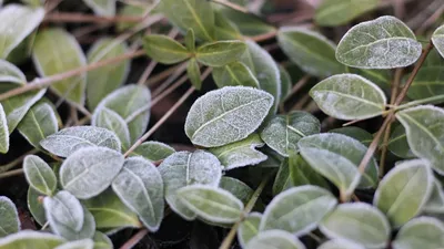 Еліміздің бірнеше өңірінде үсік, тұман, шаңды дауыл және төтенше өрт қаупі күтіледі, сурет - Zakon.kz жаңалық 08.10.2025 20:06