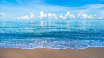 Мұхит, су, жағажай, құм, сурет - Zakon.kz жаңалық 09.10.2025 13:13