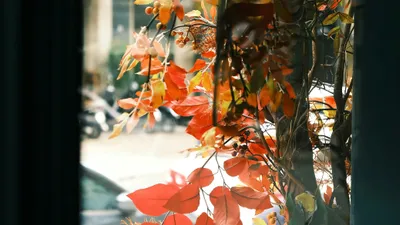 Қазақстанның бірнеше облысында дауылды ескерту жарияланды, сурет - Zakon.kz жаңалық 09.10.2025 22:05