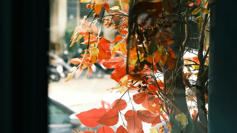 Қазақстанның бірнеше облысында дауылды ескерту жарияланды