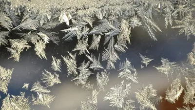 Қырау, ауа райы болжамы, 11 қазан, дауылды ескерту, Қазақстан, сурет - Zakon.kz жаңалық 10.10.2025 22:07