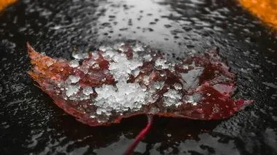 Үсік жүреді, ауа райы болжамы, Қазақстан, 11 қазан, дауылды ескерту, сурет - Zakon.kz жаңалық 10.10.2025 18:32