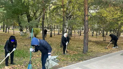 Сенбілік, Астана, жалпықалалық, сурет - Zakon.kz жаңалық 11.10.2025 11:12