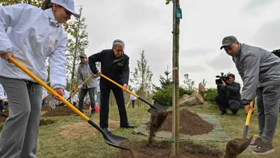Сенбілік, Тоқаев, Астана, Мемлекет басшысы, Таза Қазақстан, экологиялық акциясы , сурет - Zakon.kz жаңалық 11.10.2025 12:15