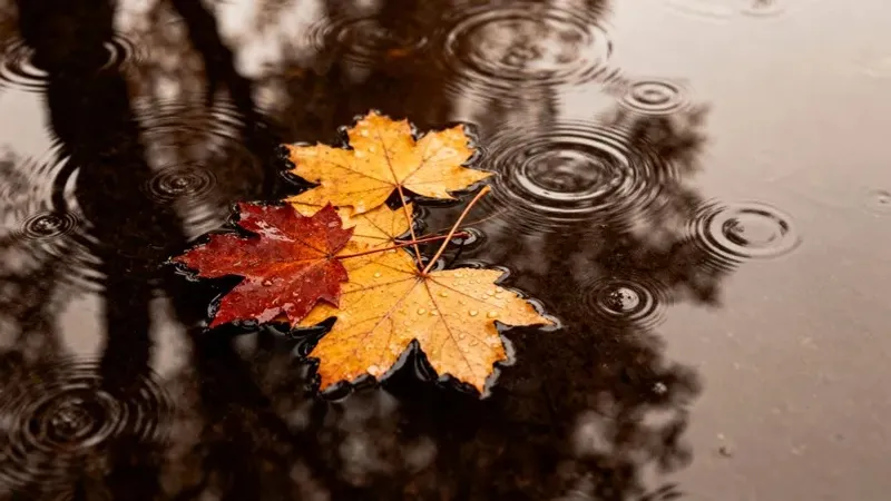 "Нөсер жаңбыр жауады". Сейсенбіде еліміздің басым бөлігінде дауылды ескерту жарияланды