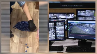 Алматыда жарты тоннадан астам есірткі тәркіленіп, үш қылмыстық топтың қызметі тоқтатылды , сурет - Zakon.kz жаңалық 13.10.2025 09:27