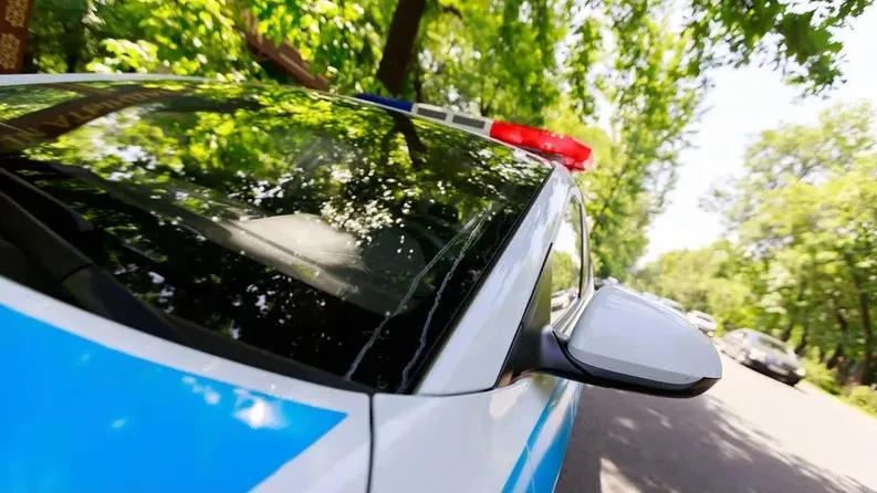 Толық қарындар порно жопы видео