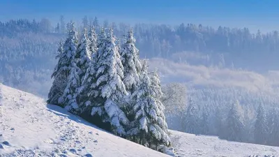 Тау, қарлы қырат, ауа райының нашарлауы, қалың қар , сурет - Zakon.kz жаңалық 13.10.2025 14:08