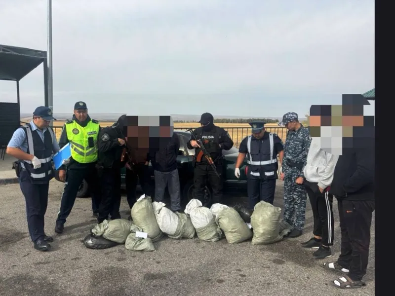 "Батыс Еуропа – Батыс Қытай" автожолында 66 келі марихуана тәркіленді