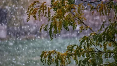 Үсік жүреді, ауа райы болжамы, Қазақстан, 16 қазан, сурет - Zakon.kz жаңалық 15.10.2025 17:58