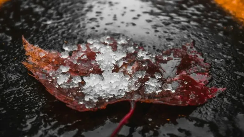 Анасы ұлының пәктігін алады (Русский порно) Үлкен кеуделі қыз моншада жуынуда (видео)
