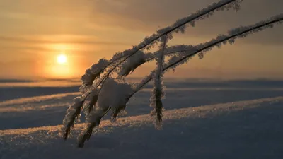 Қар, үсік: "Қазгидромет" 17 қазандағы ауа райына болжам ұсынды, сурет - Zakon.kz жаңалық 16.10.2025 18:50