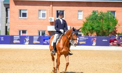 Алматы облысында ат спорты бойынша Қазақстан чемпионаты өтеді, сурет - Zakon.kz жаңалық 16.10.2025 21:50