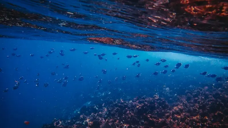 Нижний Новгородтың Совет ауданындағы жеке эскорттар