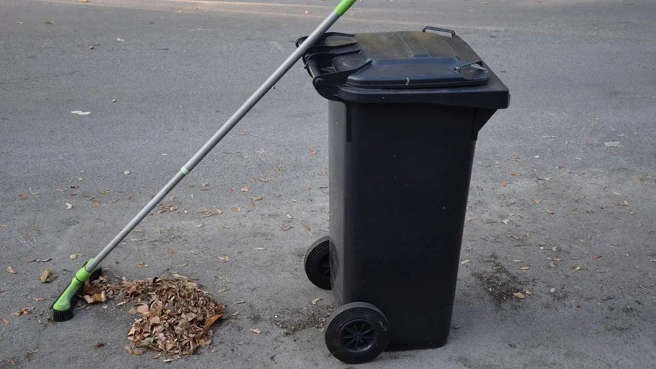 Семіз есектің фотосы