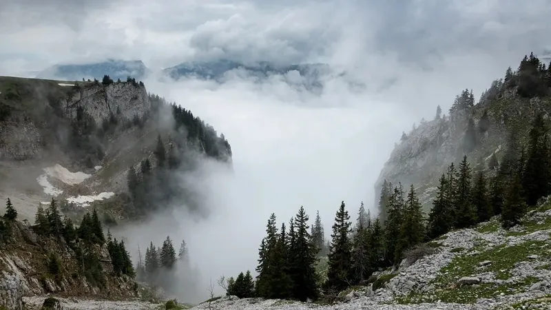 Тұман, қар және жаңбыр: сенбі күні Қазақстанда дауылды ескерту жарияланды