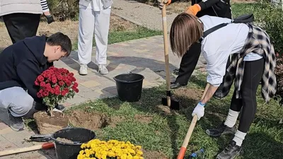 Шоқан Уәлиханов атындағы мектептің оқушылары экобелсенділермен бірге "Сосновый бор" саябағының аумағына үш мыңға жуық құрғақшылыққа төзімді қарағаш көшеттерін отырғызды. Бұл бастама саябақ периметрінде жасыл қоршау жасау мақсатында жүзеге асырылды., сурет - Zakon.kz жаңалық 18.10.2025 17:05