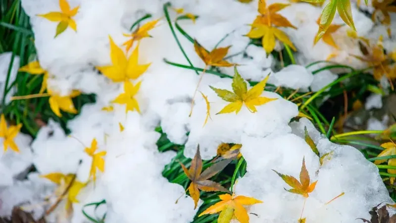 Астана, Алматы, Шымкент қалалары бойынша алдағы бір аптаға арналған ауа райы болжамы