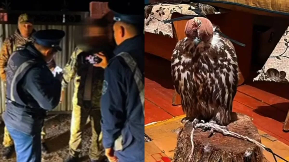 Порно сиськи және емізік Большая жопалармен жыныстық қатынастың жаңа видеолары