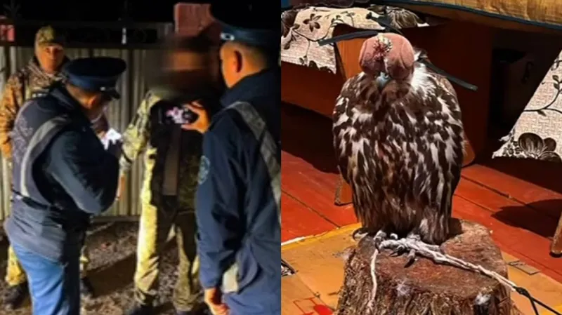 Секс үйдегі порин Жас шешен әйел секс