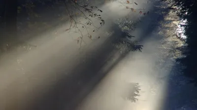 Аяз бен жаңбыр: Қазақстанның қай өңірлерінде ауа райы бұзылады, сурет - Zakon.kz жаңалық 21.10.2025 17:08