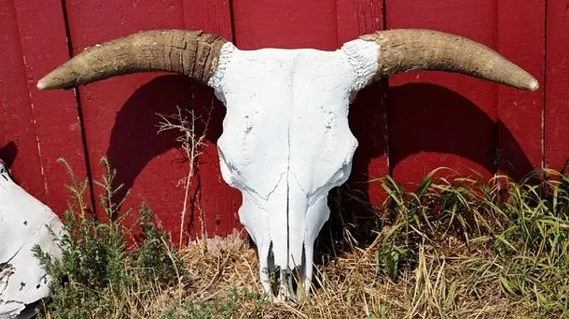 Эпидемиялық қатер: Алматы облысында қауіпті мал қорымдары анықталды