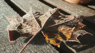 Үсік жүреді, ауа райы болжамы, Қазақстан, 23 қазан, дауылды ескерту, сурет - Zakon.kz жаңалық 22.10.2025 22:25