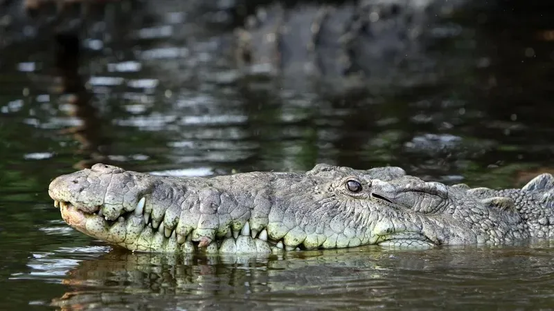 Ең терең жұлдыру порно