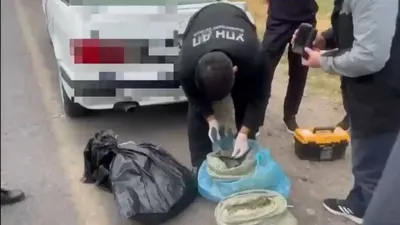 "Қарасора" жедел-профилактикалық іс-шарасы аясында ІІМ Есірткі қылмысына қарсы іс-қимыл комитетінің және Жамбыл облысының полиция департаменті есірткі қылмысына қарсы іс-қимыл басқармасының қызметкерлері есірткі заттарын заңсыз тасымалдаған күдікті адамдар тобын ұстады. , сурет - Zakon.kz жаңалық 23.10.2025 12:15