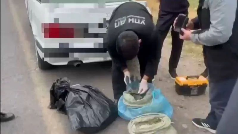 Жамбыл облысында ірі көлемде марихуана тасымалдаған күдіктілер ұсталды