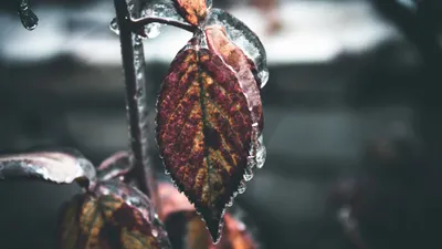 Үсік, тұман, өрт қаупі: 24 қазанда қай өңірлерде ауа райына байланысты ескерту жасалды, сурет - Zakon.kz жаңалық 23.10.2025 23:01