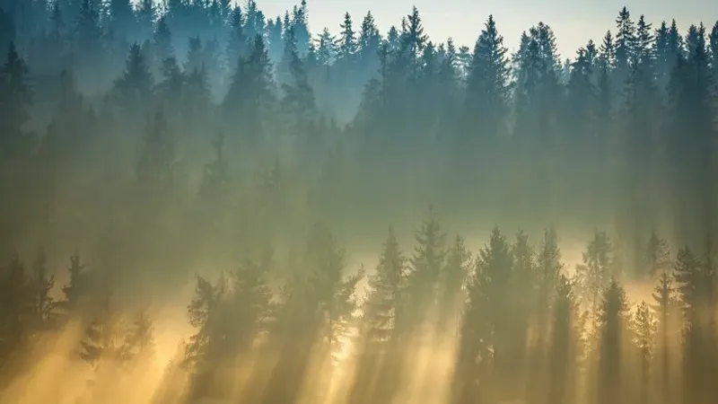 Еліміздің қай өңірлерінде дауылды ескерту жарияланды