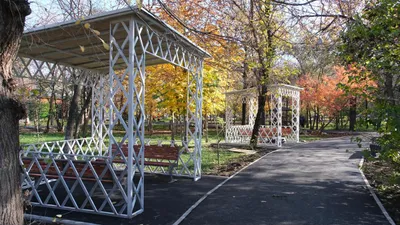 27 қазаннан бастап Алматыда қала тұрғындары "Халыққа қатысатын бюджет" (ХҚБ) жобасы аясында өз ұсыныстарына дауыс бере алады., сурет - Zakon.kz жаңалық 24.10.2025 15:02