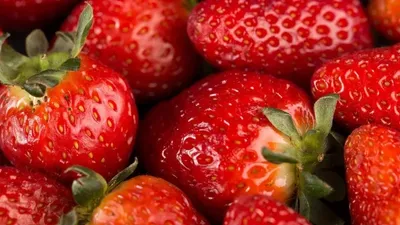 Құлпынай, Англия, теру, шетел, жұмыс, алаяқтар  , сурет - Zakon.kz жаңалық 24.10.2025 21:56