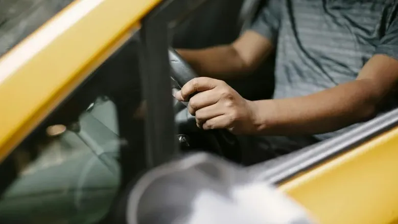 Жыныс мүшесінің жыныстық ұрығы