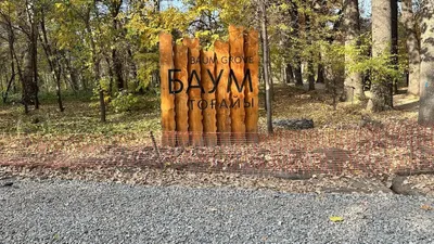 Алматыда Баум тоғайында ағаштарды заңсыз кесу фактісі анықталды, сурет - Zakon.kz жаңалық 26.10.2025 16:16