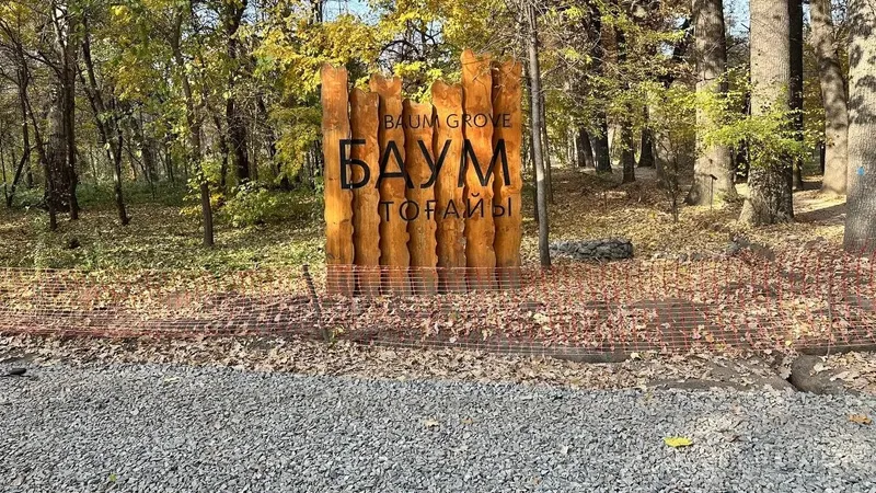 Алматыда Баум тоғайында ағаштарды заңсыз кесу фактісі анықталды